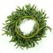 20 inches Artificial Green Olive Wreath Greenery Wreath with Olive Leaves,Olive Bean for Front Door Indoor Outdoor Farmhouse Home Wall Window Festival Wedding Decor, White Gift Box Included